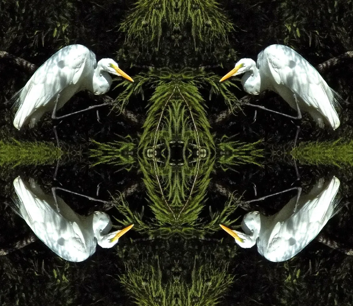 Egret at Rest Loose Tank Top Long