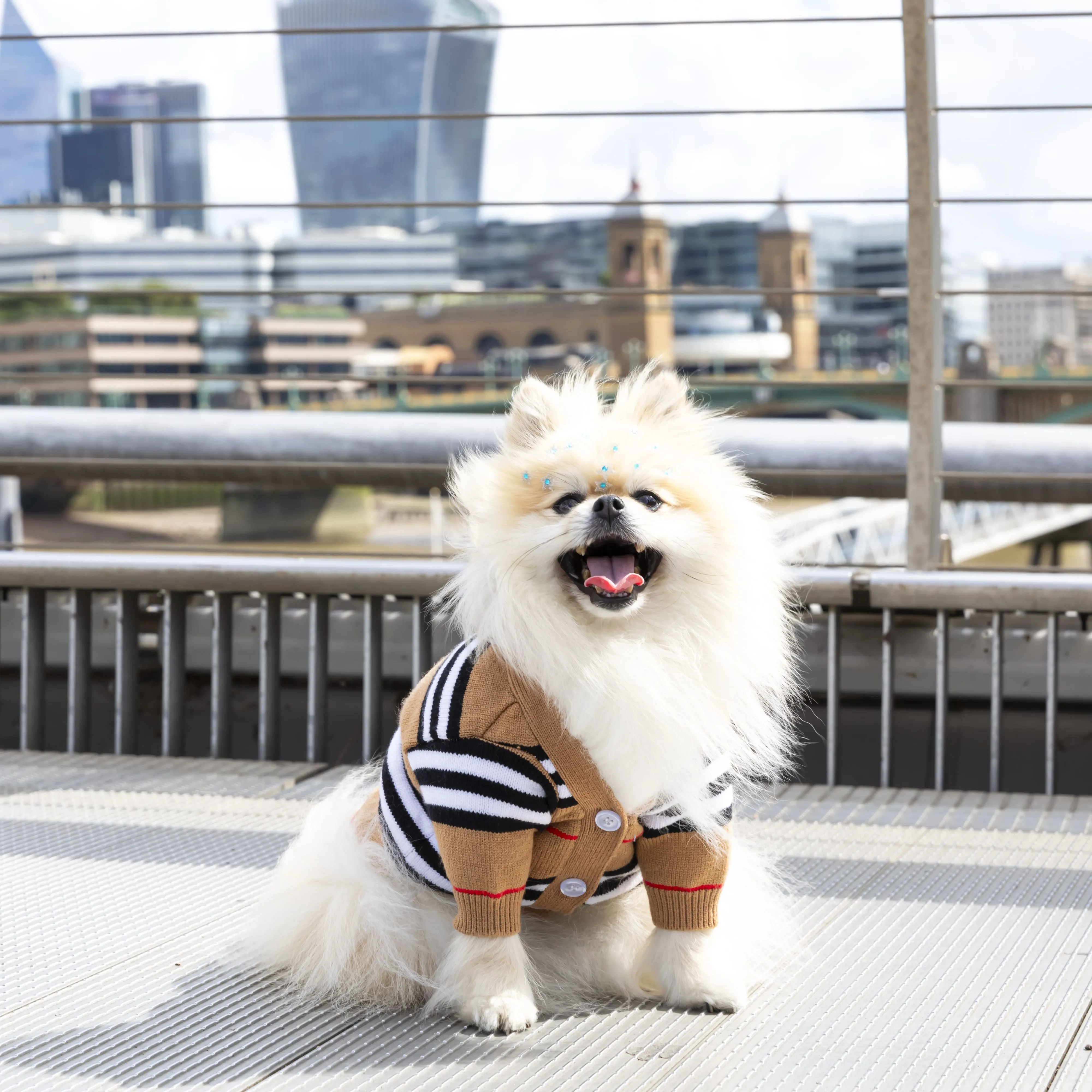 Stylish Days Designer Dog Sweater Cardigan