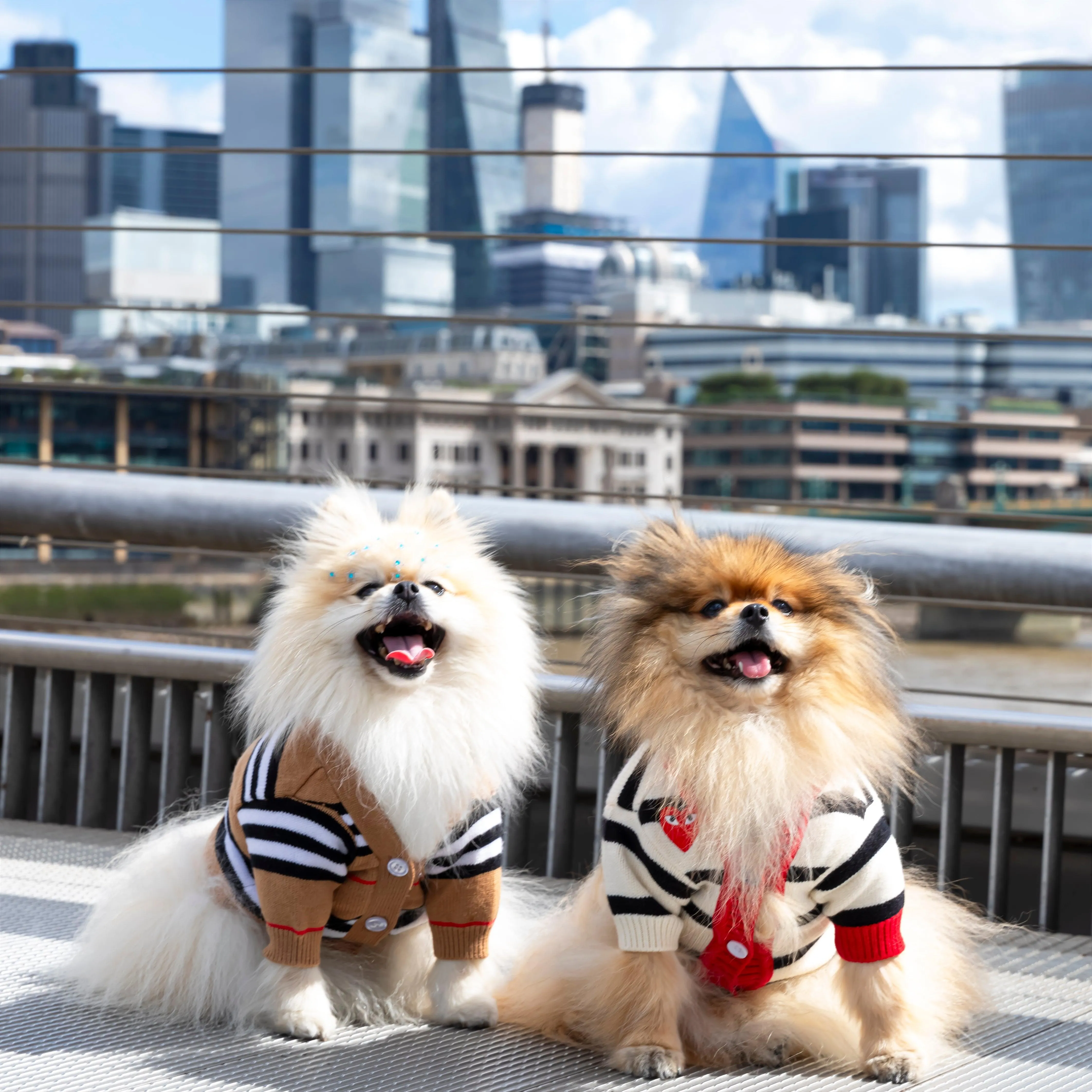 Stylish Days Designer Dog Sweater Cardigan